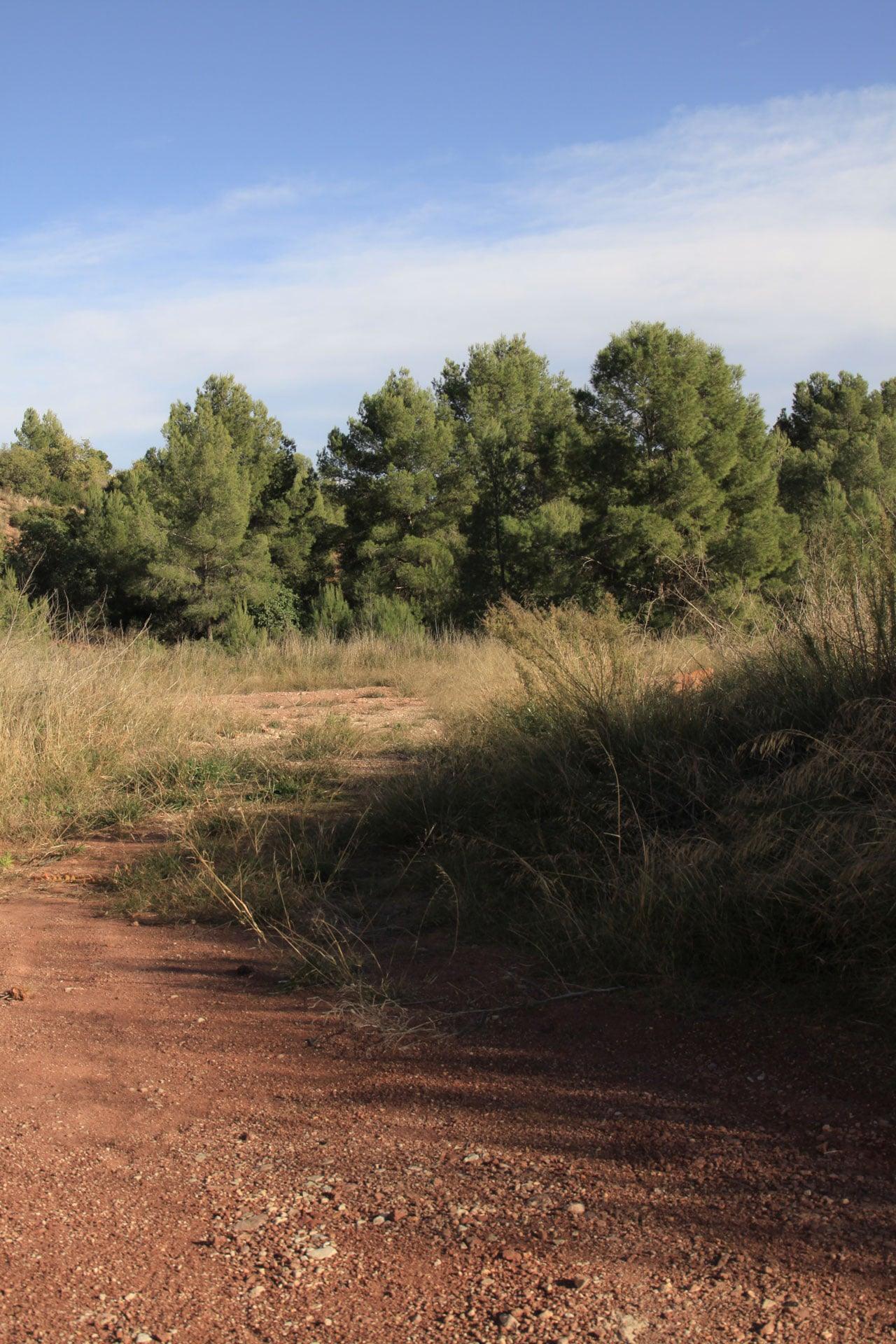 Alfinach Development — site 03