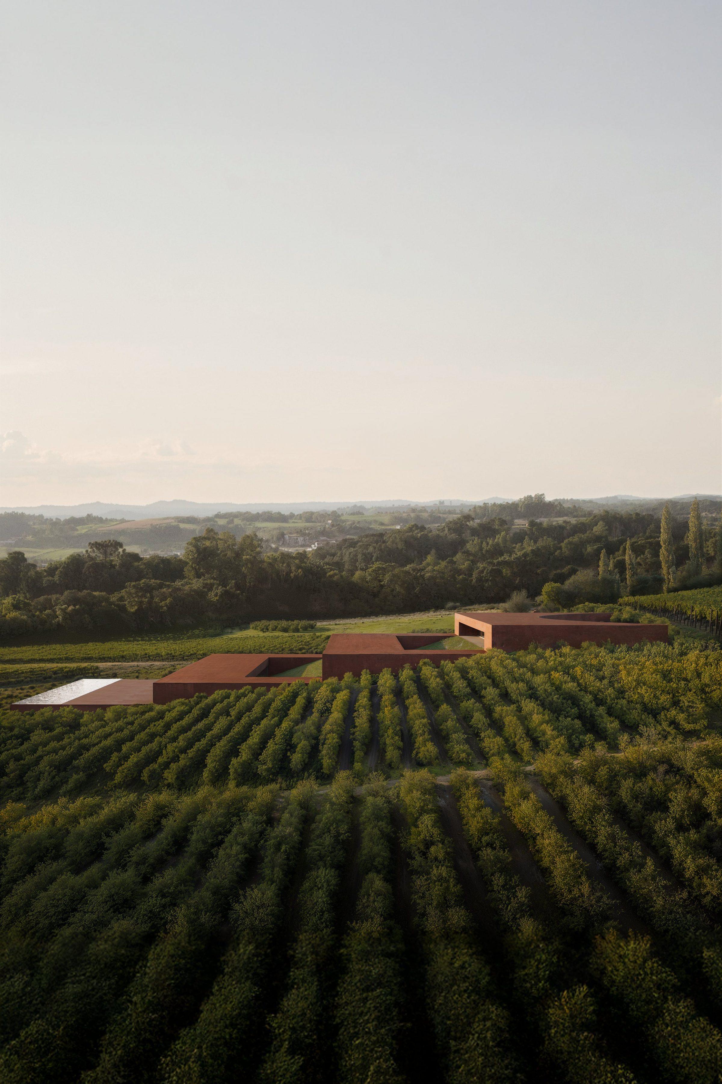 Rural Hotel — room opening to the vineyard horizon