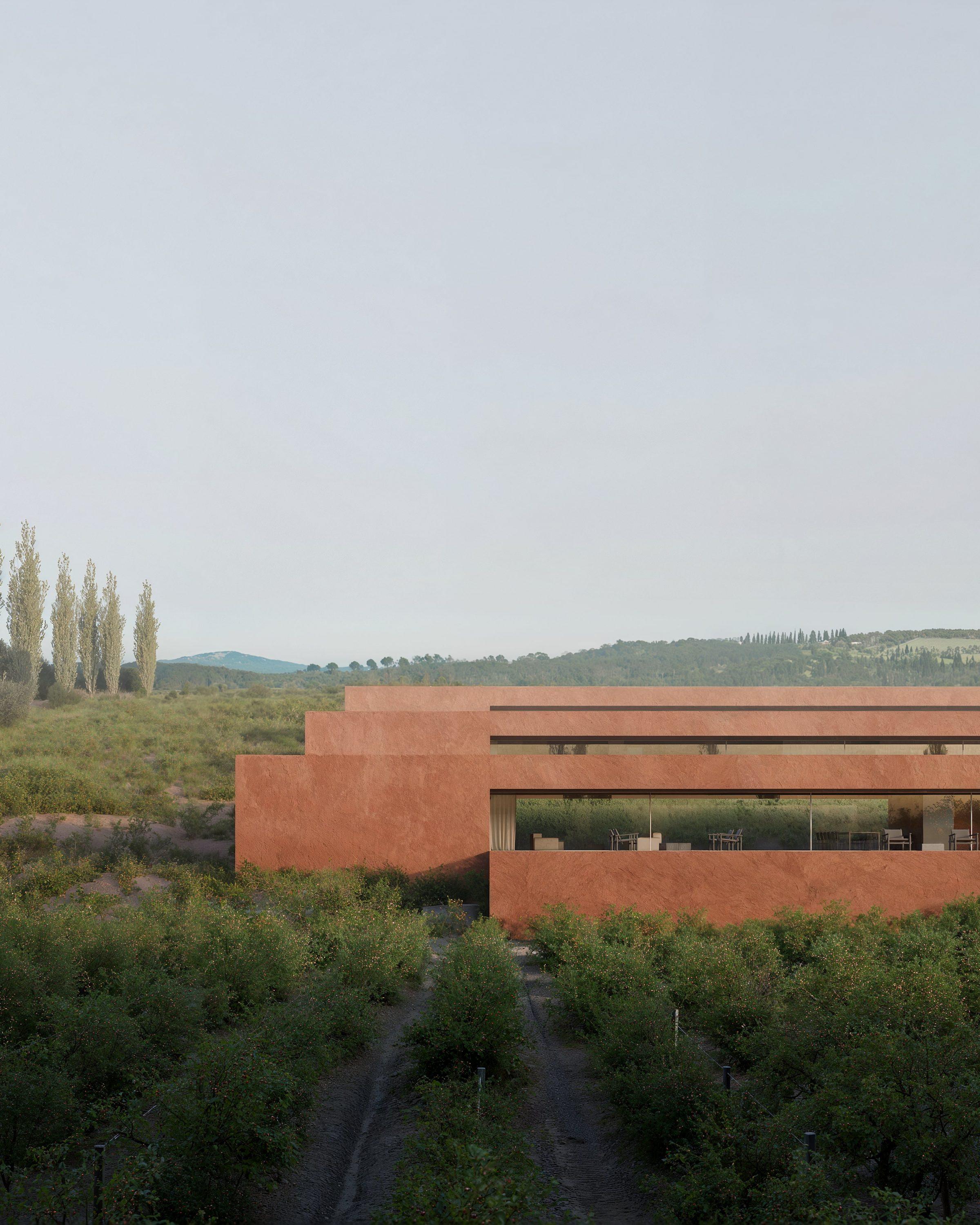 Rural Hotel — sunken platform within the vineyard terraces