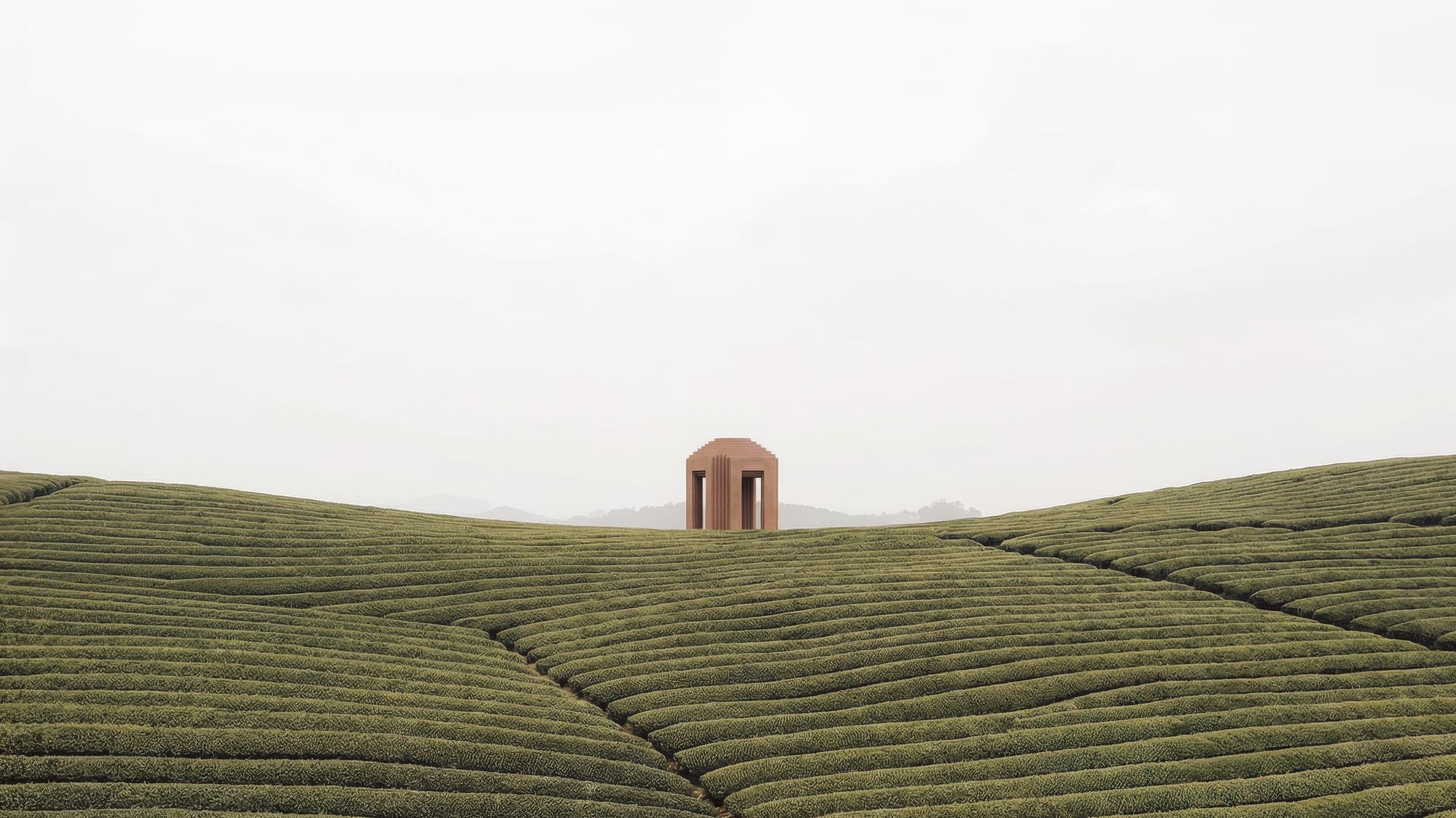 Jingshan Pagoda — the pavilion standing among the rolling tea fields