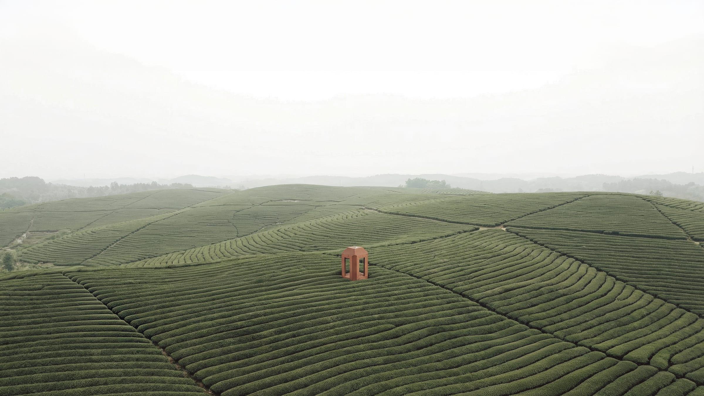 Jingshan Pagoda — aerial view across the tea terraces