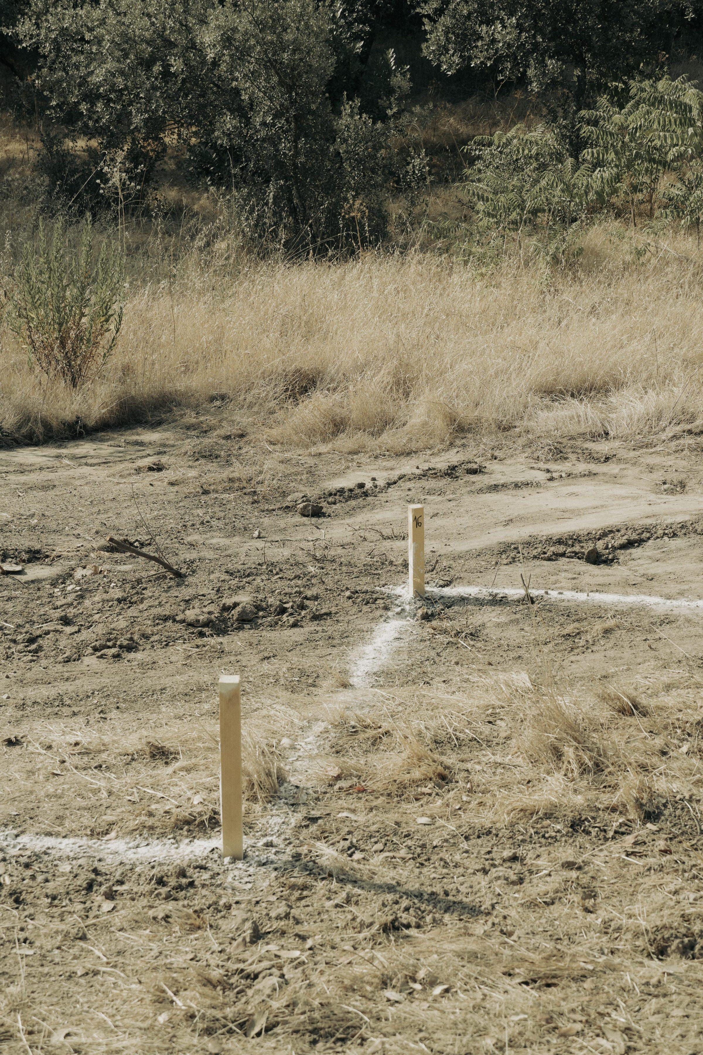 Moraleja CN6 House, setting-out stakes marking the house on the graded terrain