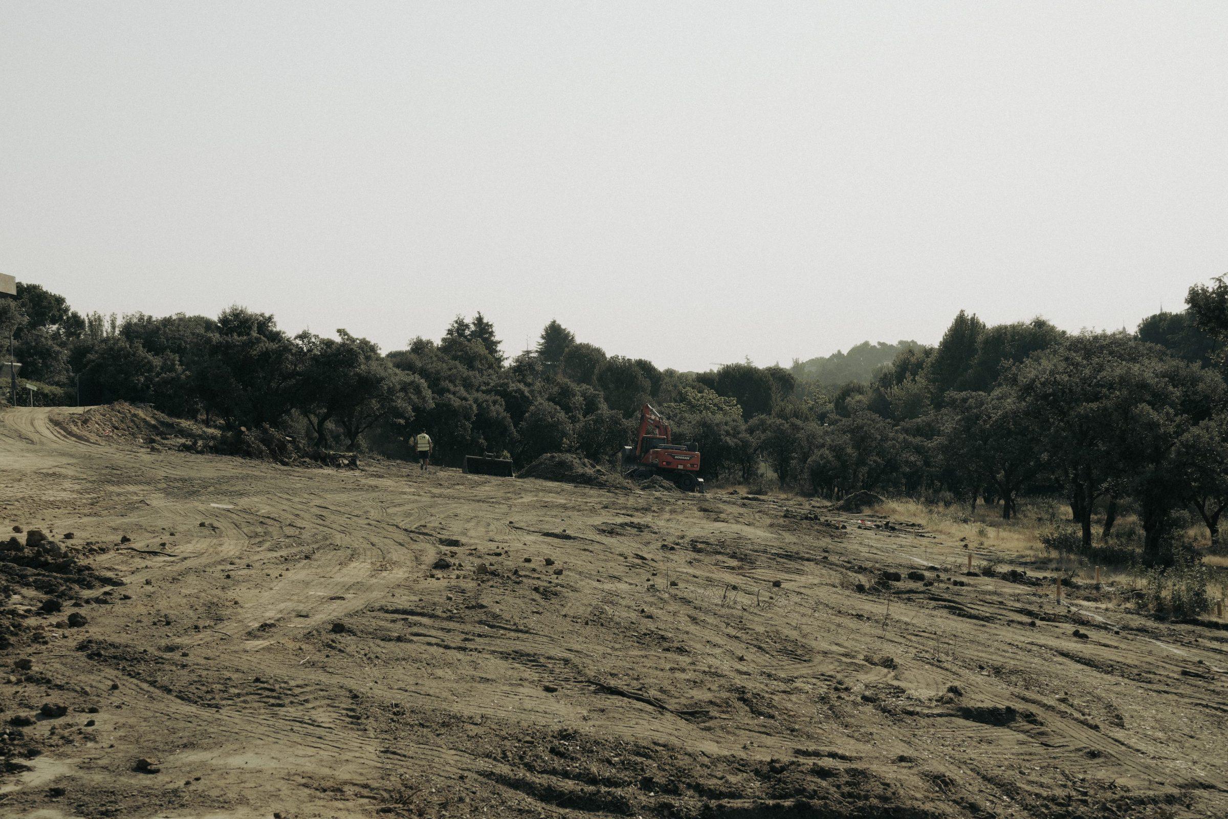 Moraleja CN6 House, the sloping plot cleared for construction, the mature oak canopy of La Moraleja beyond