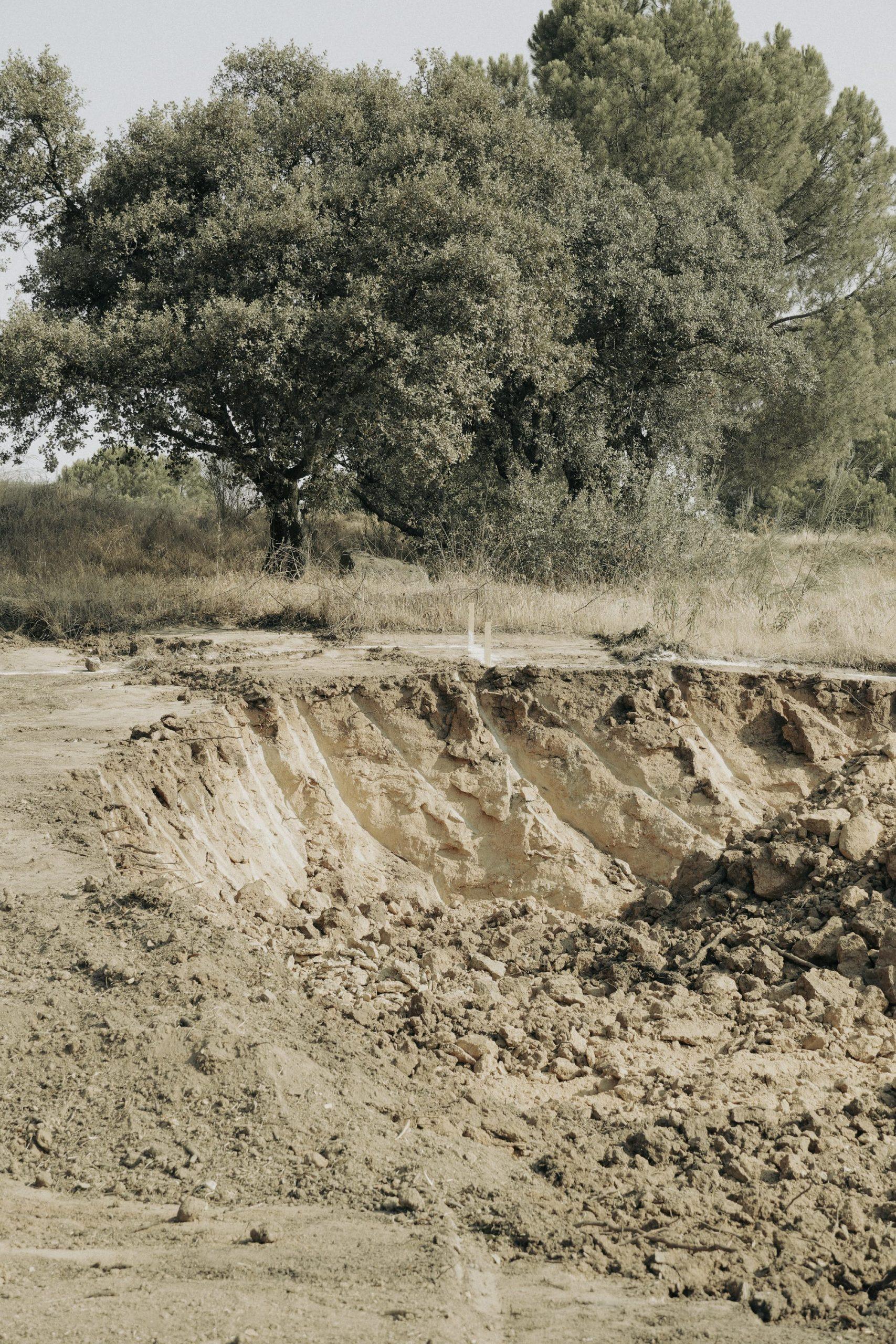 Excavated cut through the plot showing the marks of the excavator bucket