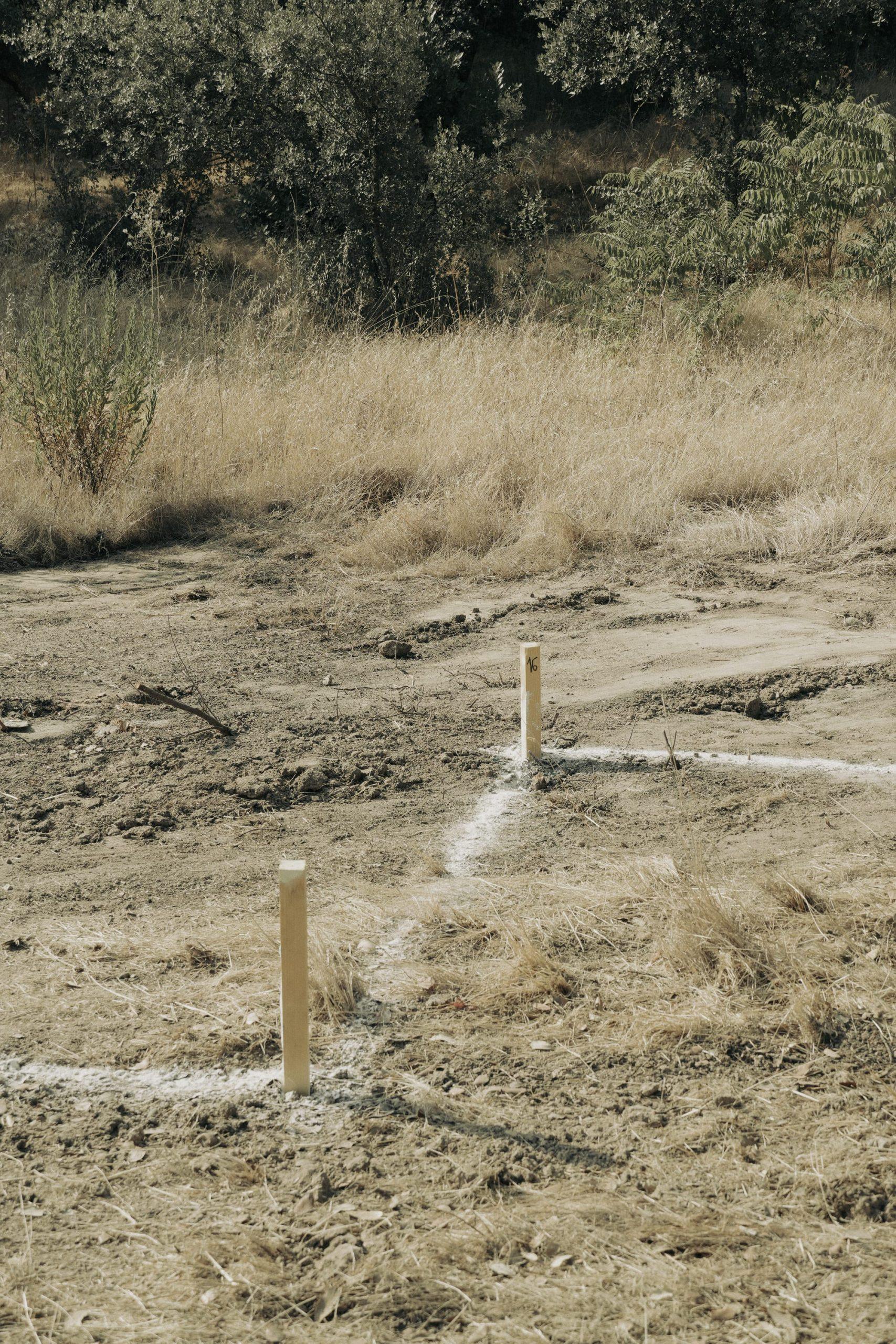 Chalk setting-out line and a numbered stake on the dry earth of the plot
